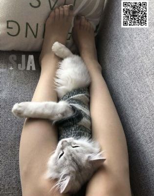 国产做床爱无遮挡免费视频_720电影在线观看